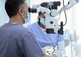 Online-Mikroskopiekurs