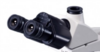 Trinocular Observation Head, 30 inclined (excluding eyepieces)