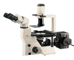 TCM400 trinocular microscope with LED Fluorescence Kit