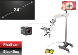 4K-documentatiekit voor PRIMA lite/swift/CS, FlexScan 24"