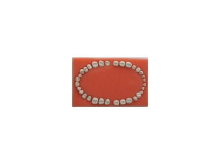 Replacement Teeth Set