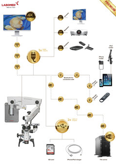 PrimaDNT Microscope Premium, Lang, Wall mount, NuVar 10