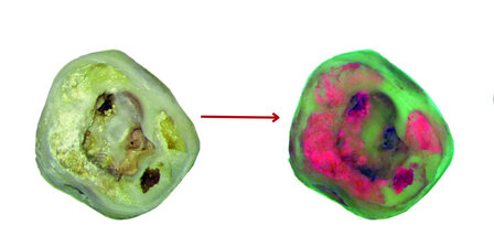 Microscopio Magna FL soporte suelo