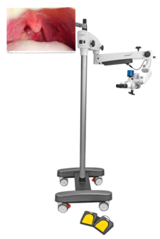 PRIMA ENT lite, floor mount, CMO 250 mm