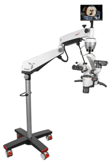 Magna FL microscope with floor mount