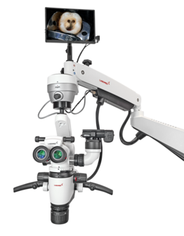 Magna FL microscope with floor mount