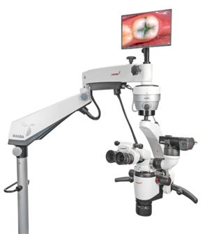 Magna FL microscope with floor mount