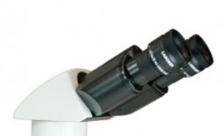 Binocular observation head