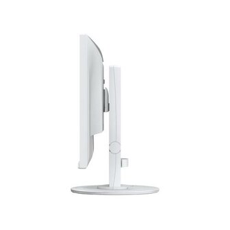 Monitor FlexScan 24", white
