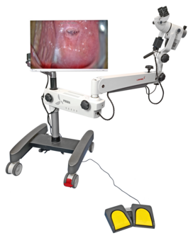 4K-documentatiekit voor PRIMA lite/swift/CS, FlexScan 24"