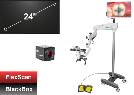 4K-documentatiekit voor PRIMA lite/swift/CS, FlexScan 24"