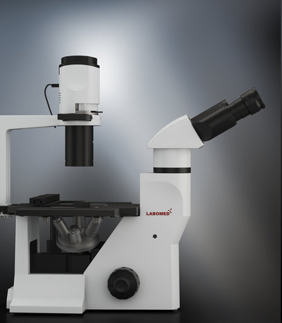 TCM400 binokulares Umkehrmikroskop (Biowissenschaft)