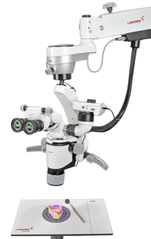 Magna FL microscope with floor mount