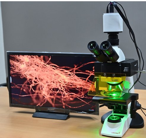 Triple Filter LED Fluorescence attachment with UV for Lx400 and Lx500