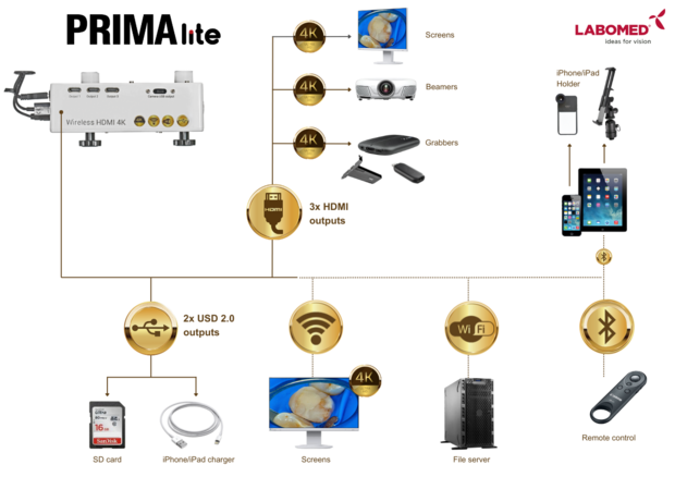 PRIMA lite Premium, Deckenmontage, CMO 250 mm