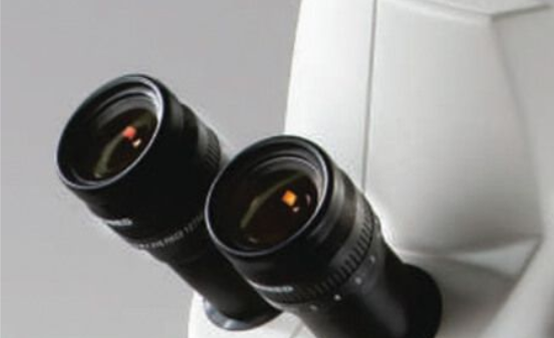 Stereomicroscoop Luxeo 2S, 1x/ 3x