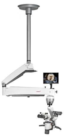 Microscopio Magna montaje a techo