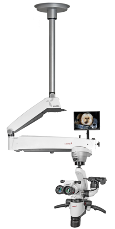 Microscopio Magna montaje a techo