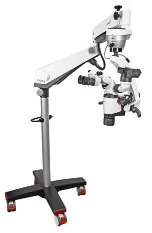 Magna FL microscope with floor mount