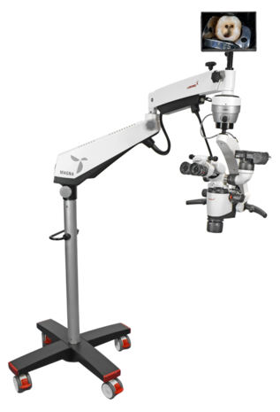 Magna FL microscope with floor mount