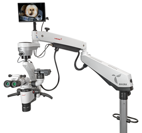 Magna FL microscope with floor mount