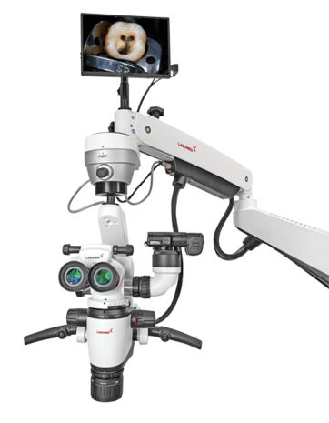 Magna FL microscope with floor mount