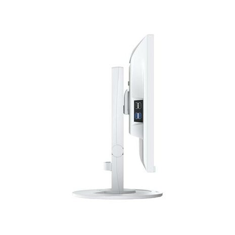 Monitor FlexScan 24", white