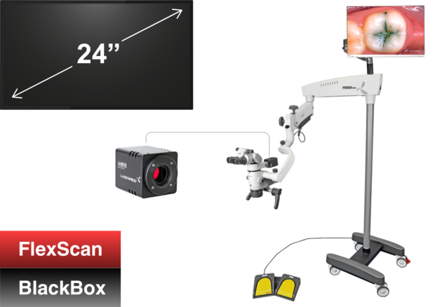 4K-documentatiekit voor PRIMA lite/swift/CS, FlexScan 24"