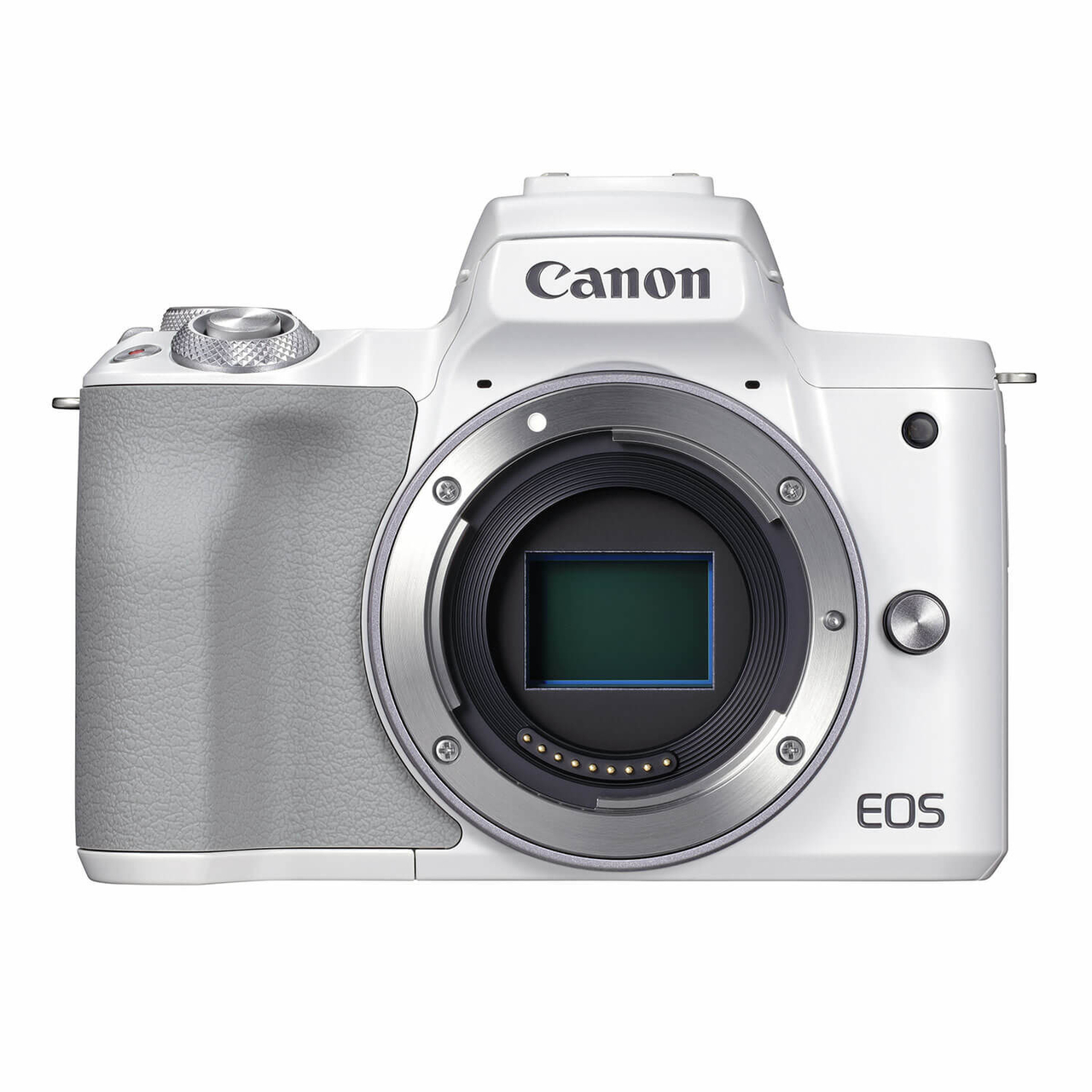 Canon cheap m50 body