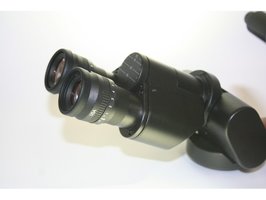 Cabezal de observación ergonómico inclinable (excluyendo oculares)