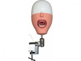 Zahnärzliches Unterrichtsmodell Simulator Manikin, Modell 1